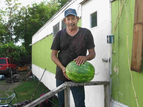 USA : In South Texas, Fair Wages Elude Farmworkers, 50 Years After Historic Strike